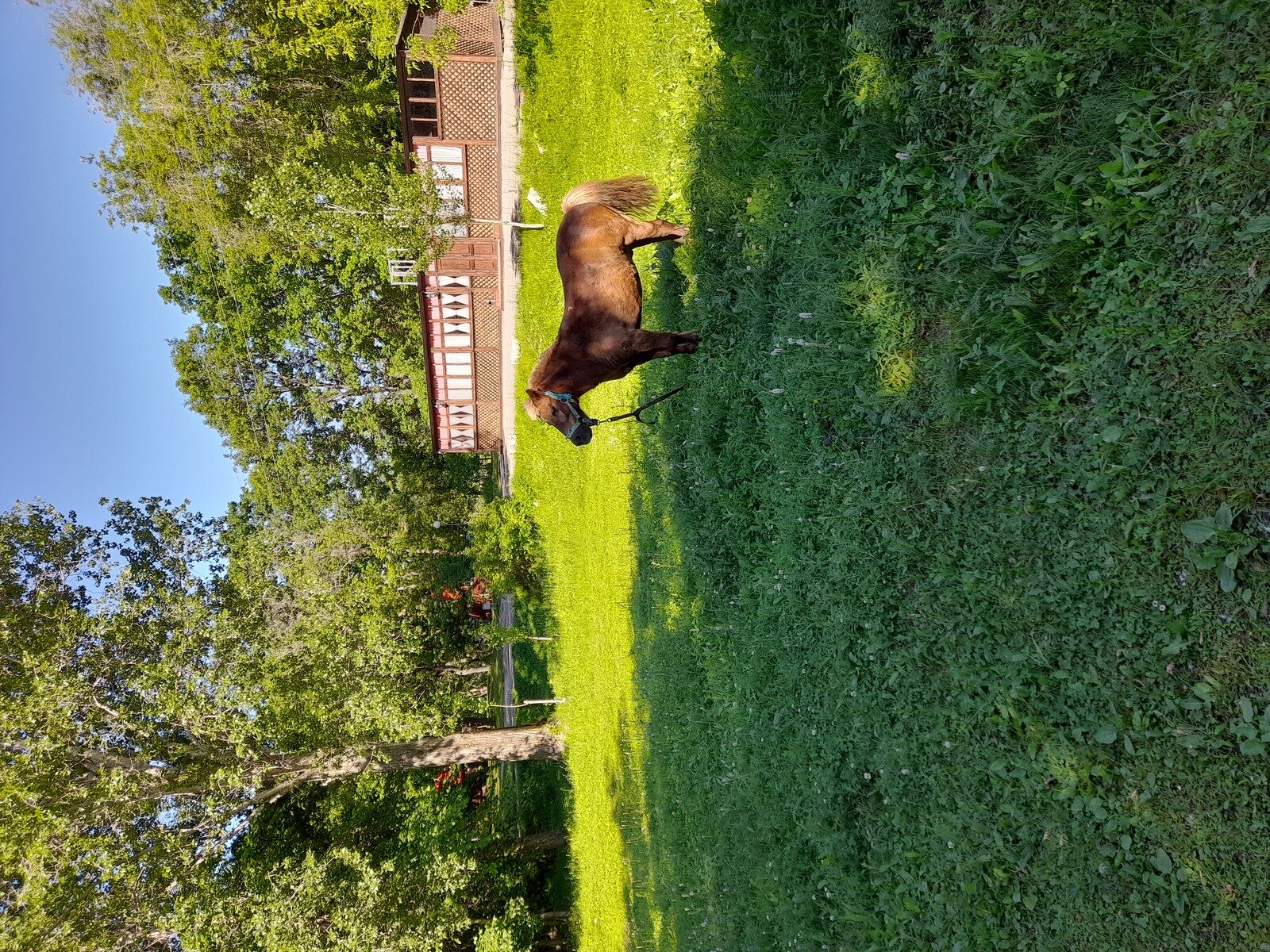 Фото 16 из отзыва о загородном комплексе Алые Паруса