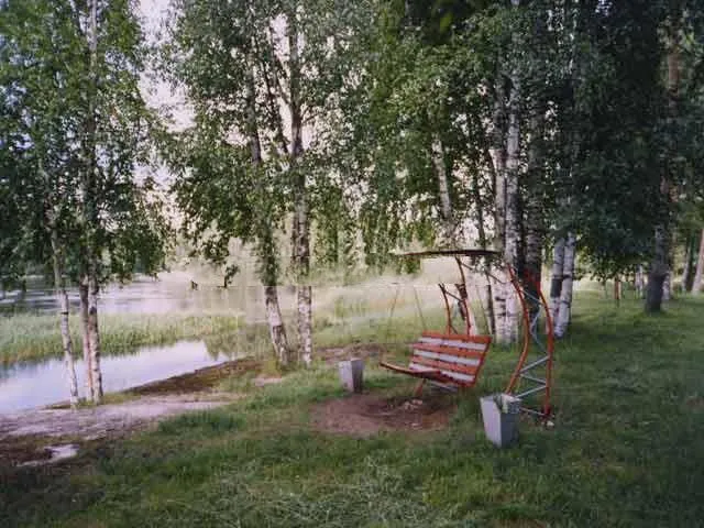 Прекрасный чистый воздух | Рябинка, Ленинградская область