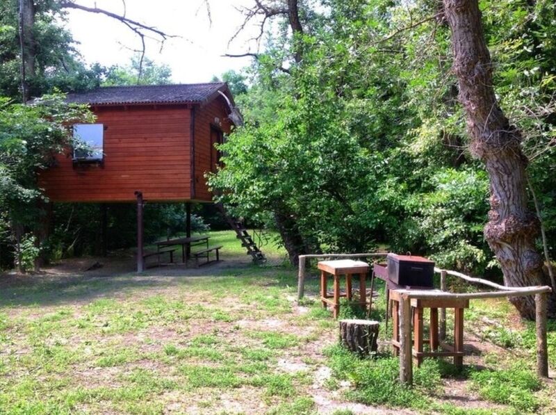 Кокос, Волгоградская область: фото 2