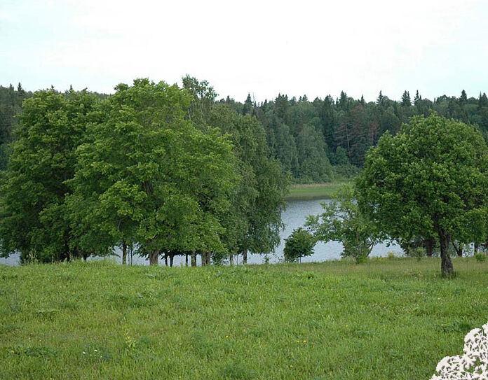 Пруд | Имение Сведомских, Пермский край