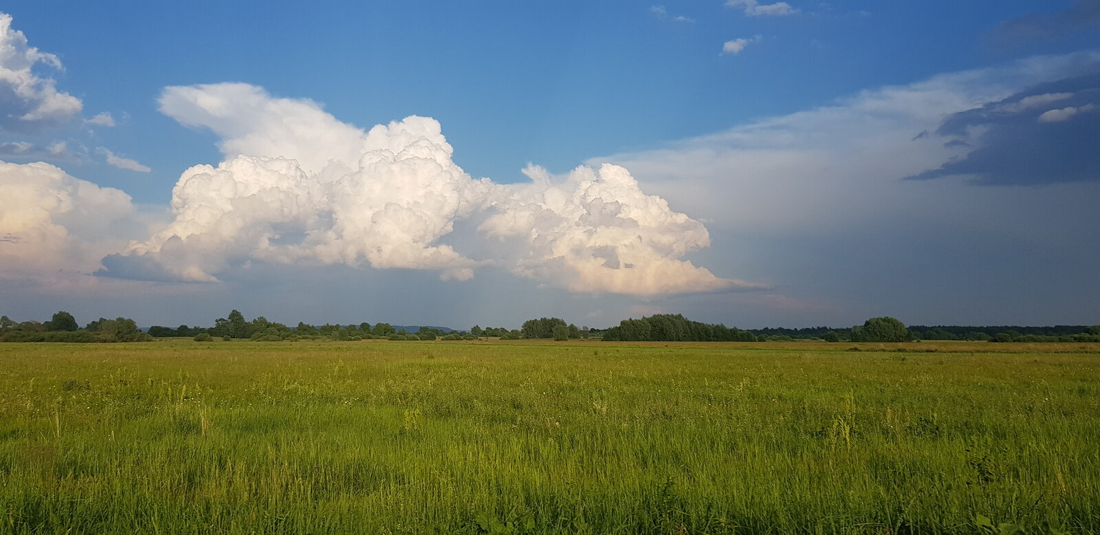 Фото 11 из отзыва о базе отдыха Фокино-Приволжье