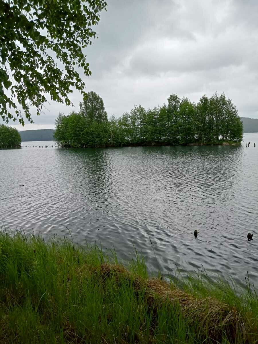 Фото 13 из отзыва о базе отдыха Форелька