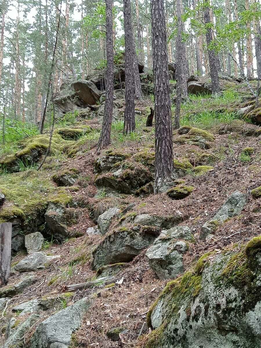 Фото 17 из отзыва о базе отдыха Форелька