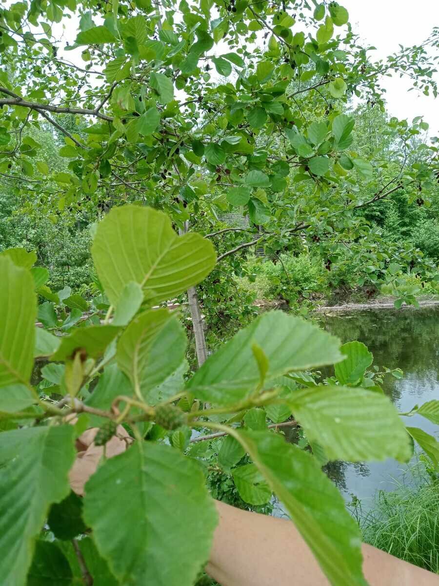 Фото 19 из отзыва о базе отдыха Форелька