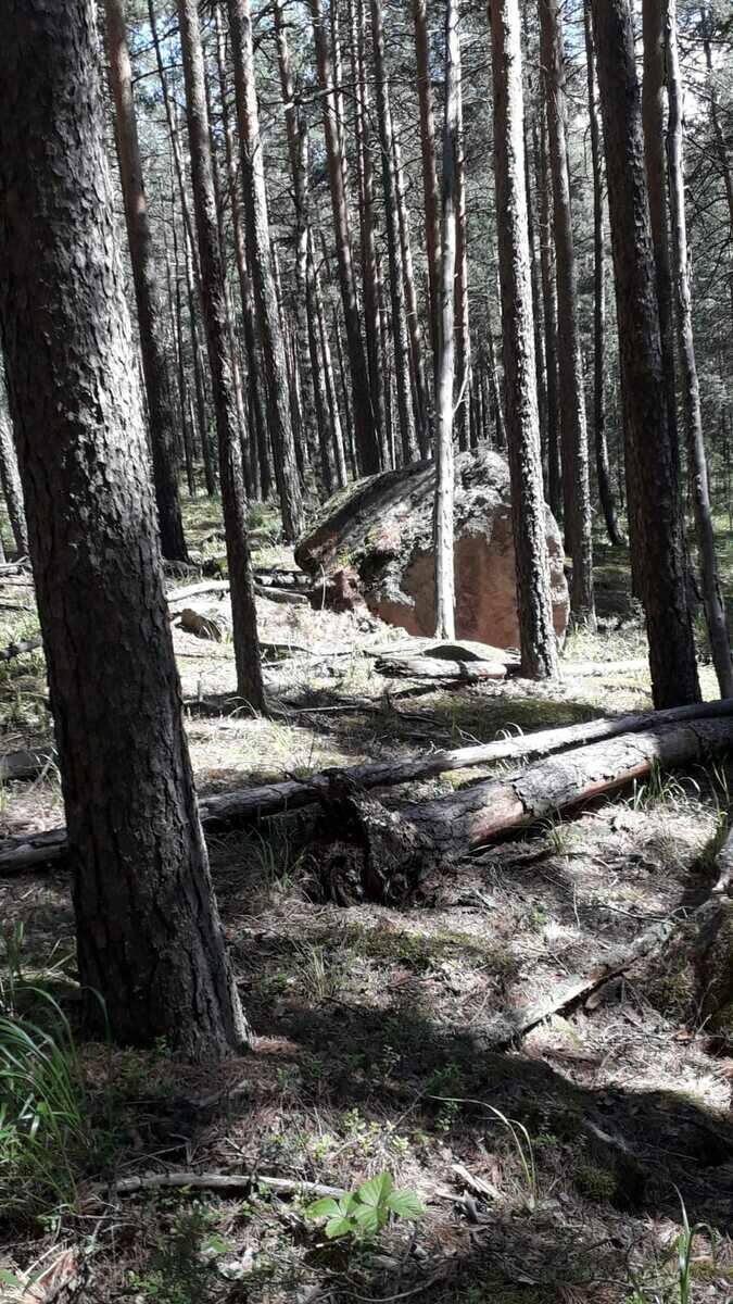 Фото 21 из отзыва о базе отдыха Форелька