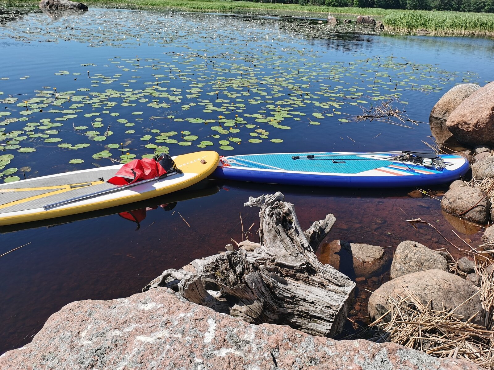 Фото 7 из отзыва о загородном клубе Пихтовое