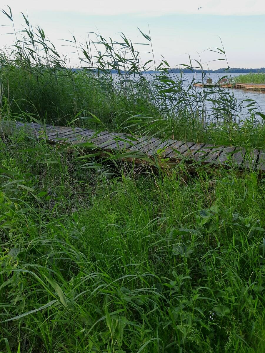 Фото 11 из отзыва о базе отдыха Яр