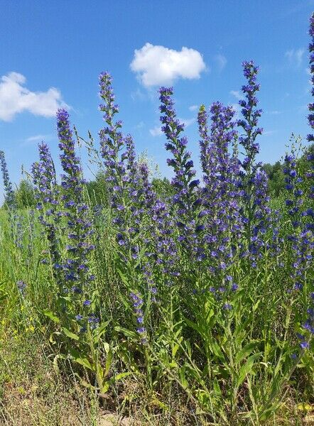 Фото 9 из отзыва о базе отдыха Яр