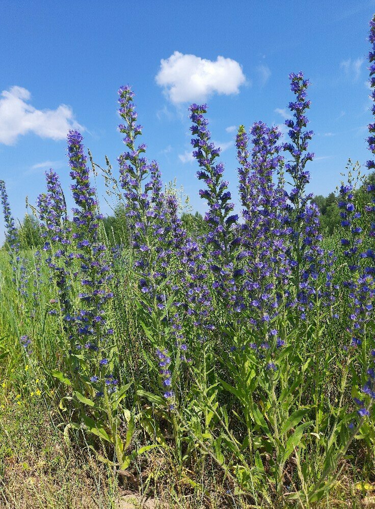 Фото 19 из отзыва о базе отдыха Яр