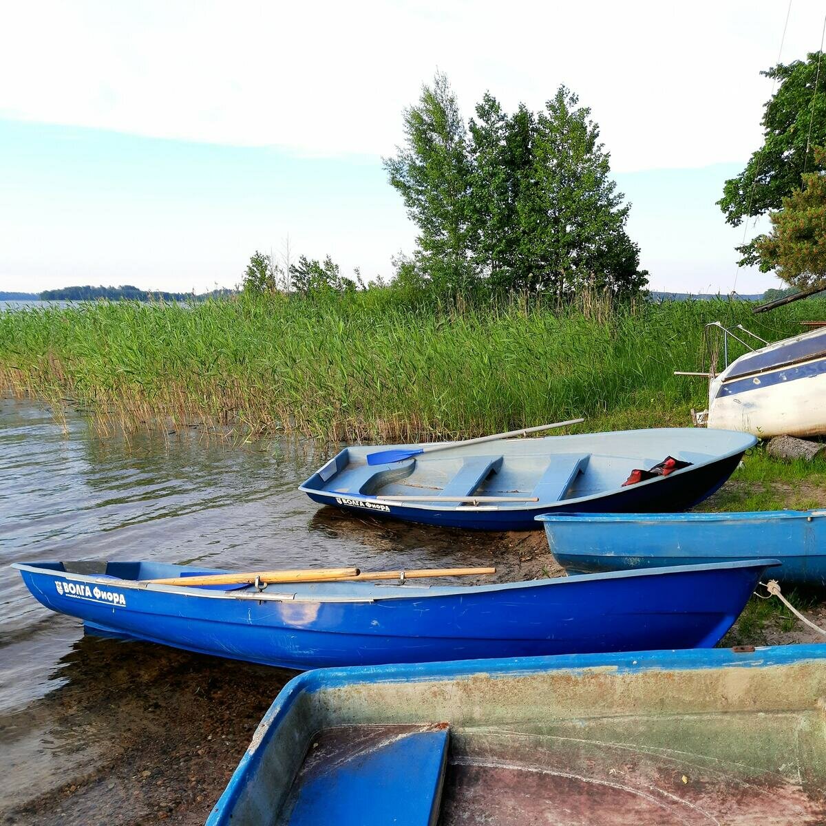 Фото 16 из отзыва о базе отдыха Яр