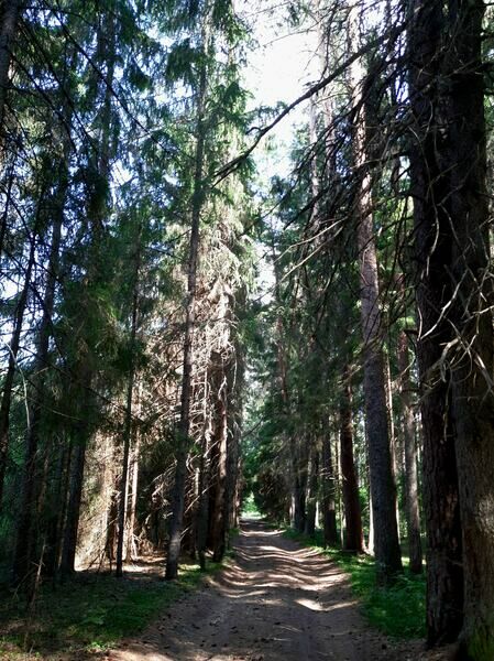 Фото 7 из отзыва о базе отдыха Яр