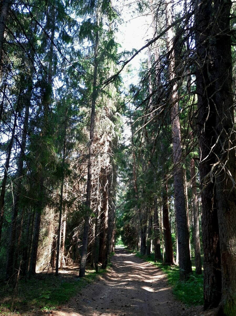 Фото 17 из отзыва о базе отдыха Яр