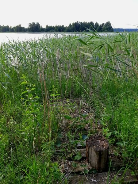 Фото 8 из отзыва о базе отдыха Яр