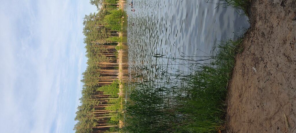 Фото из отзыва от 02.07.2022