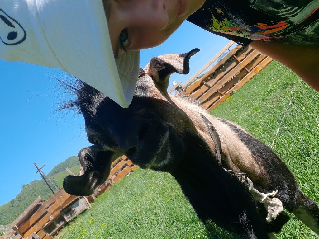 Фото из отзыва от 27.06.2022