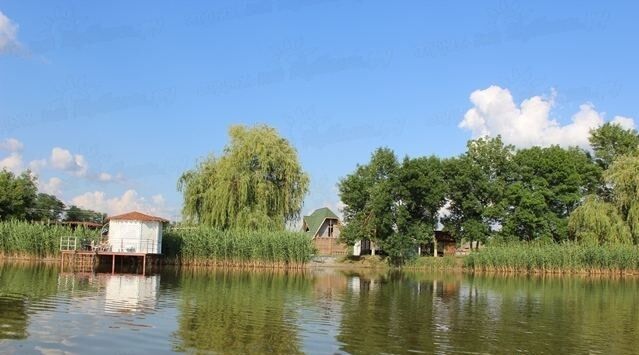 База отдыха Разгуляй, Краснодарский край, Тимашевск 