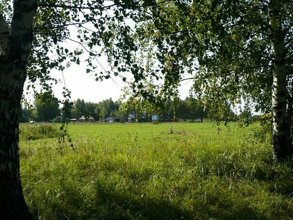 Центр отдыха Золотой фазан, Республика Марий Эл, Йошкар-Ола 