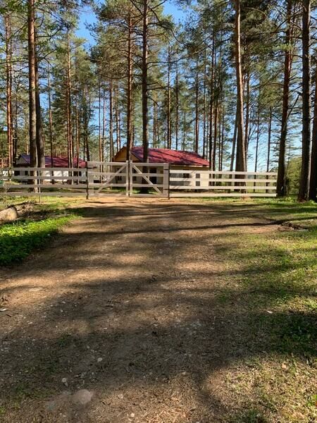 База отдыха  в Столбово, Мошенской, Новгородская область