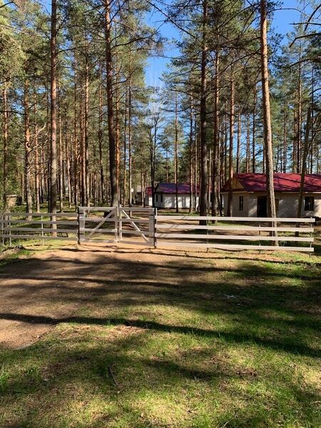  в Столбово, Новгородская область: фото 2