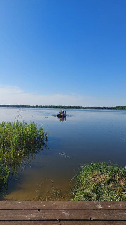 Фото из отзыва от 05.07.2022