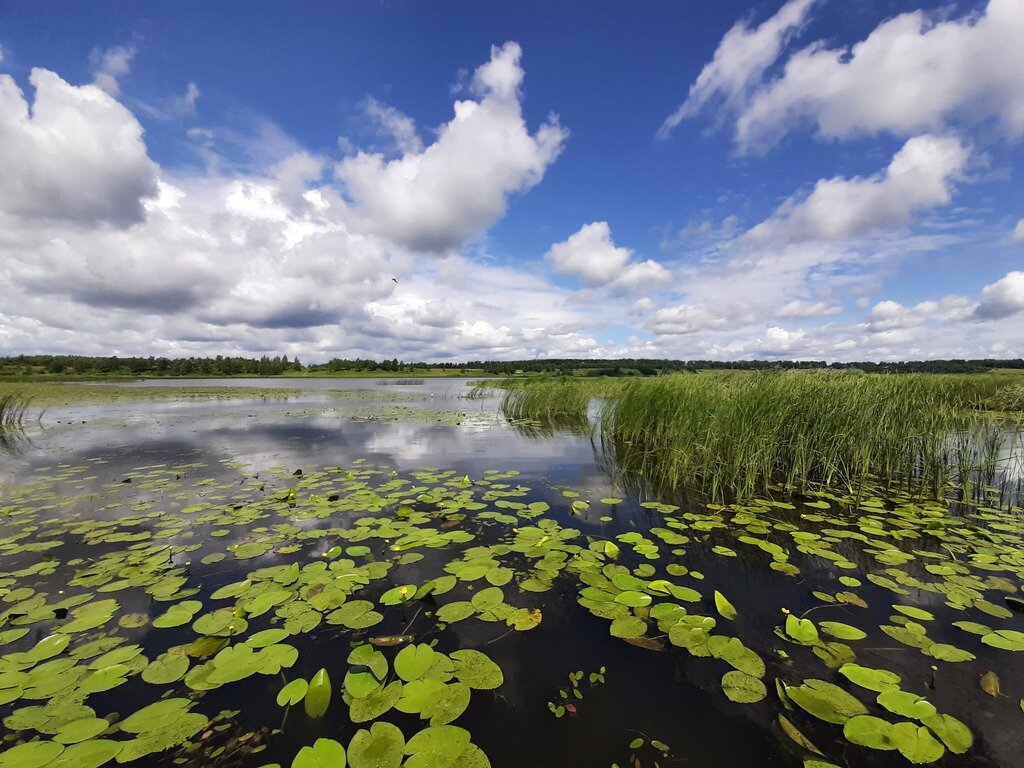 Фото из отзыва от 06.07.2022