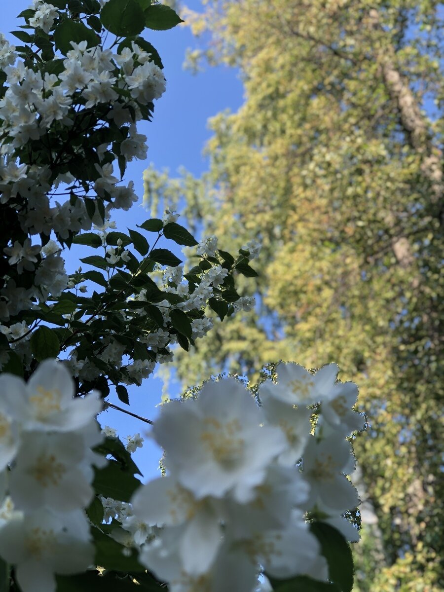 Фото 22 из отзыва о гостевом доме Замок на озере Увильды