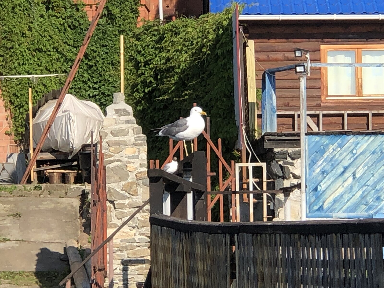 Фото 21 из отзыва о гостевом доме Замок на озере Увильды