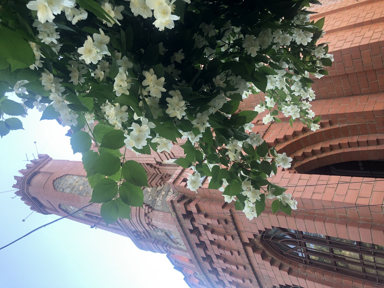 Фото 23 из отзыва о гостевом доме Замок на озере Увильды