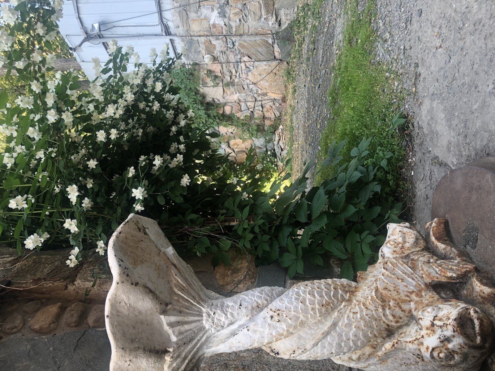 Фото 25 из отзыва о гостевом доме Замок на озере Увильды