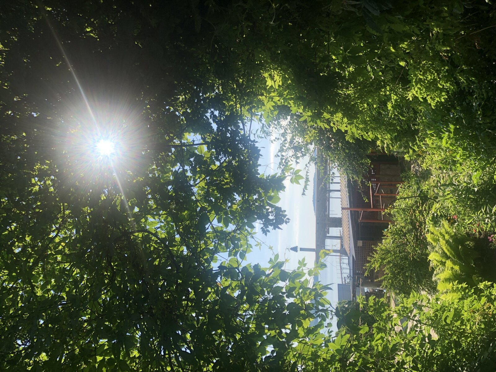 Фото 27 из отзыва о гостевом доме Замок на озере Увильды