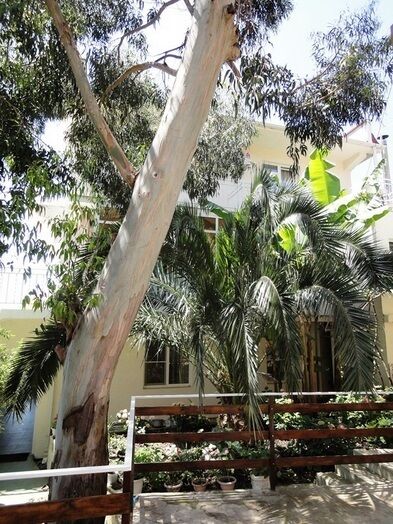 Горный простор | Горный простор, Краснодарский край