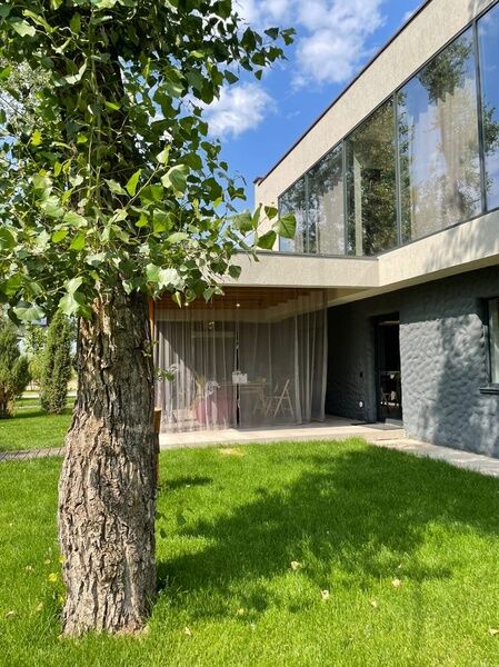 Мост, Волгоградская область: фото 3