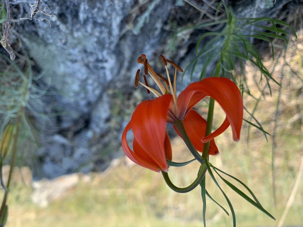 Фото из отзыва от 02.07.2022