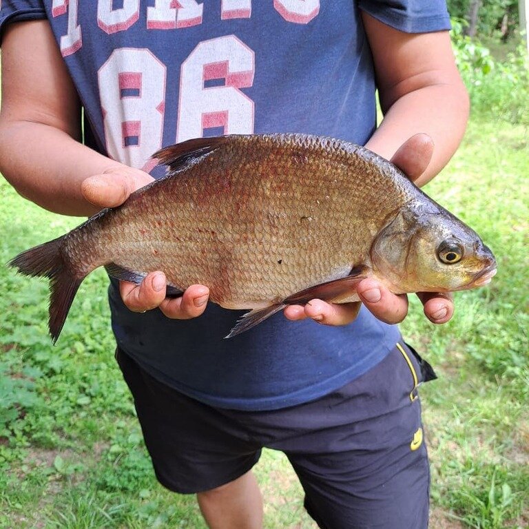 Фото из отзыва от 08.07.2022