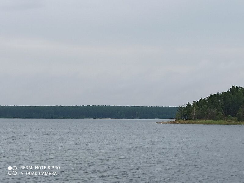 Фото 2 из отзыва о базе отдыха Лесное поместье