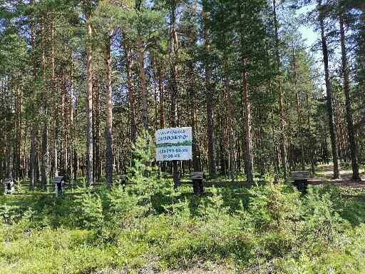 Фото 17 из отзыва о базе отдыха Сямозеро