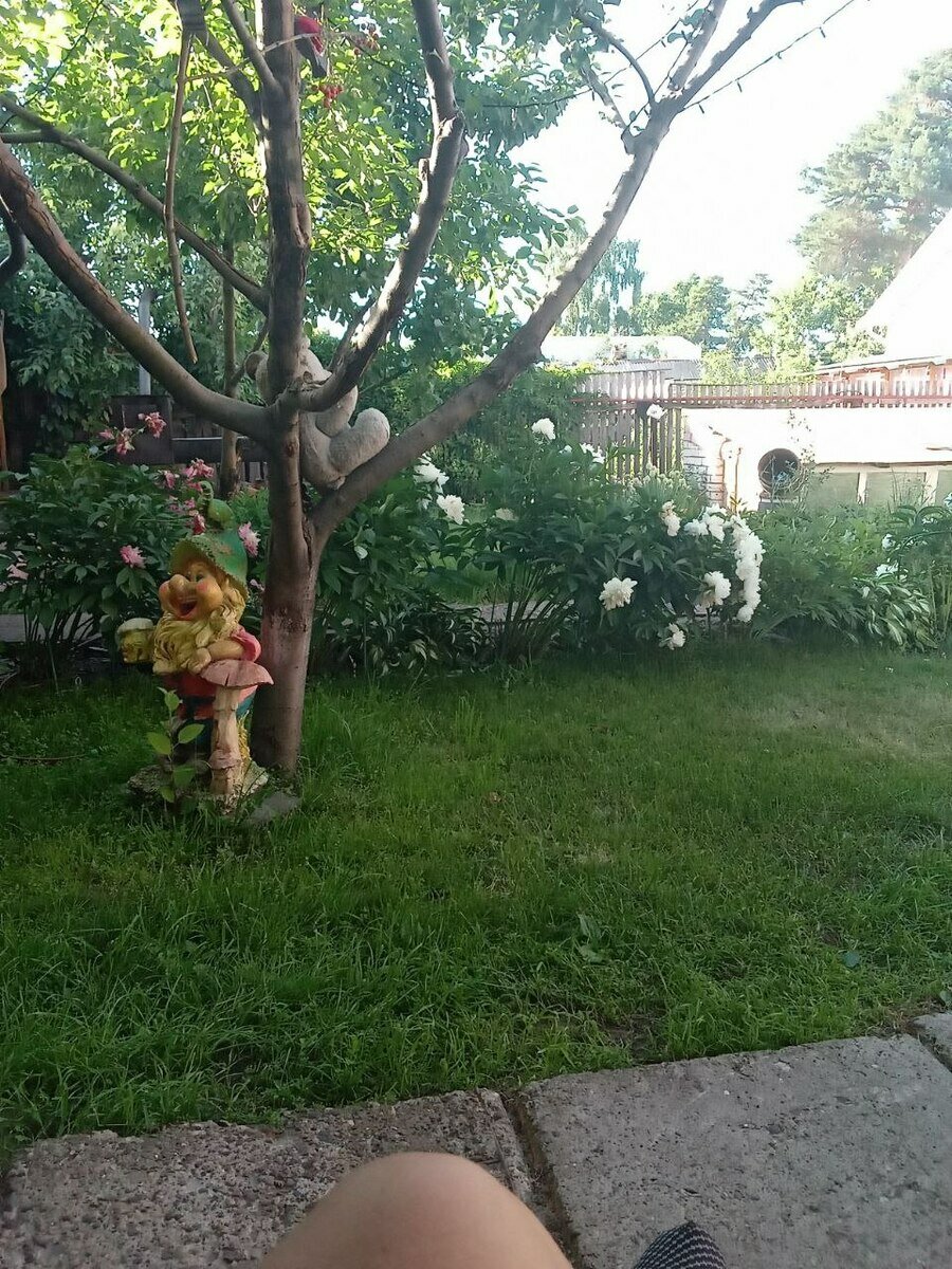 Фото 5 из отзыва о гостевом доме Шкипер