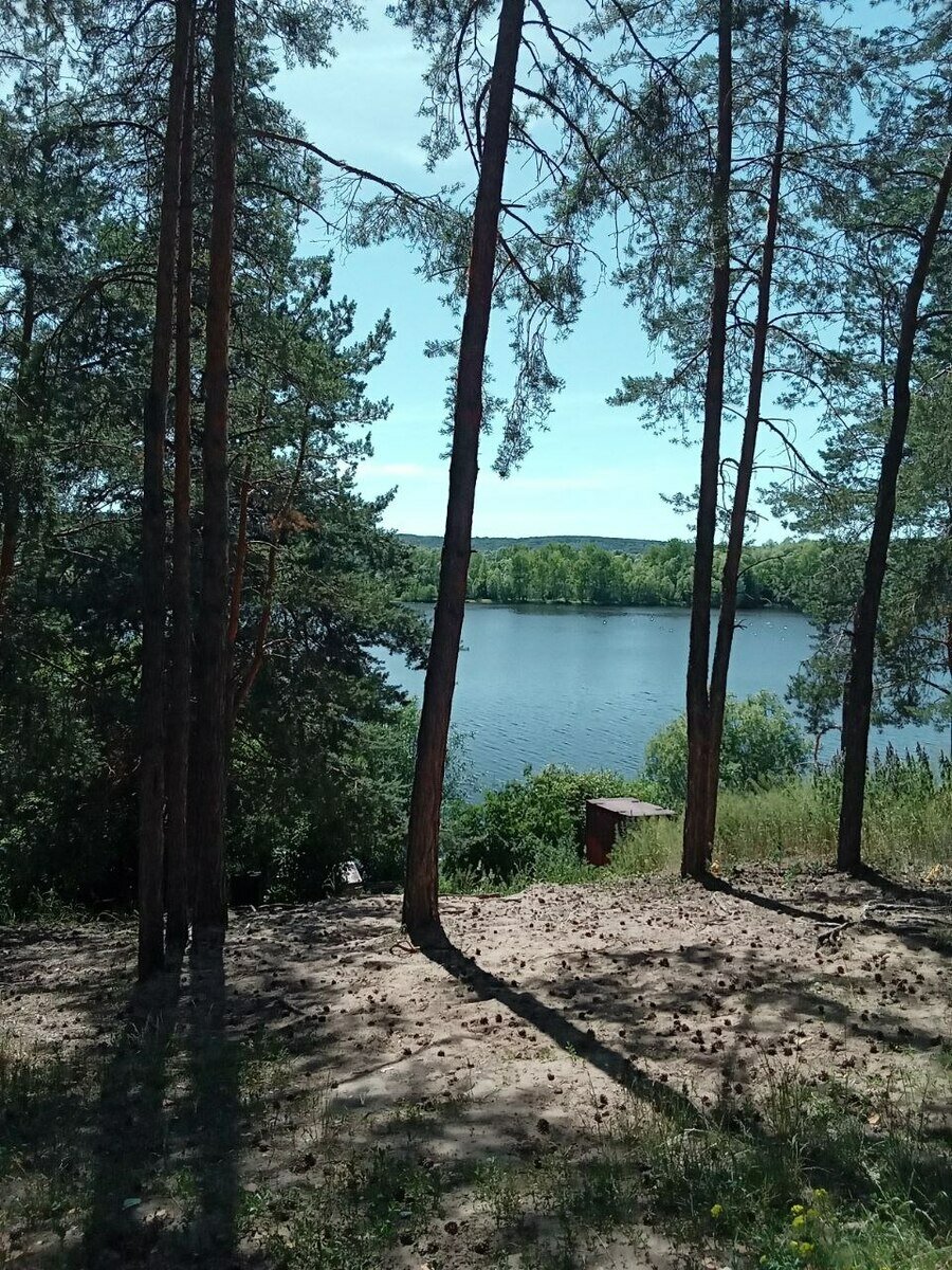 Фото 8 из отзыва о гостевом доме Шкипер