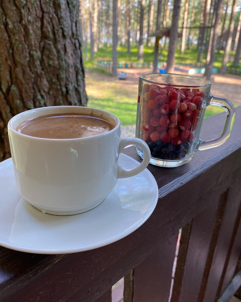 Фото 12 из отзыва о базе отдыха Сямозеро