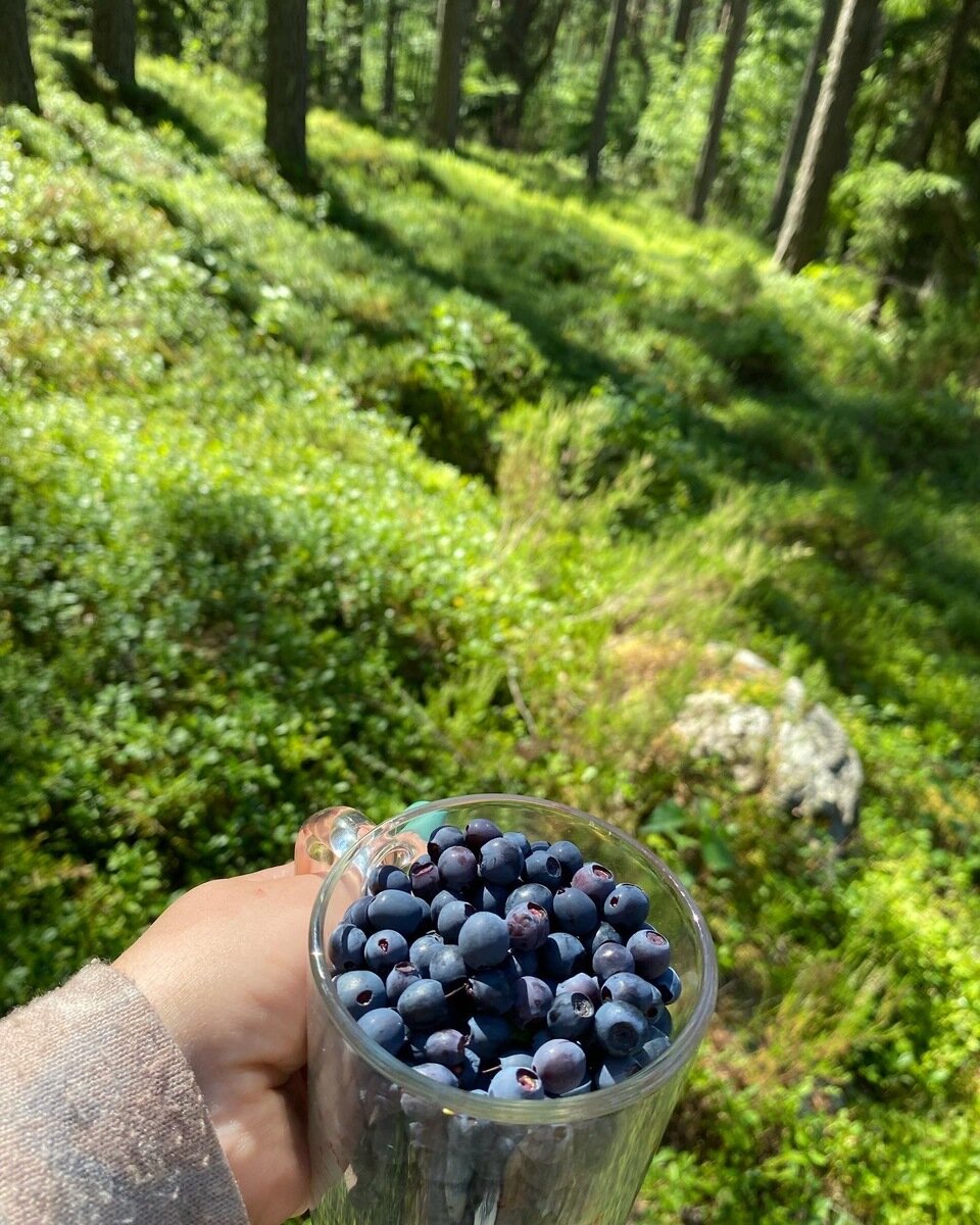Фото 14 из отзыва о базе отдыха Сямозеро