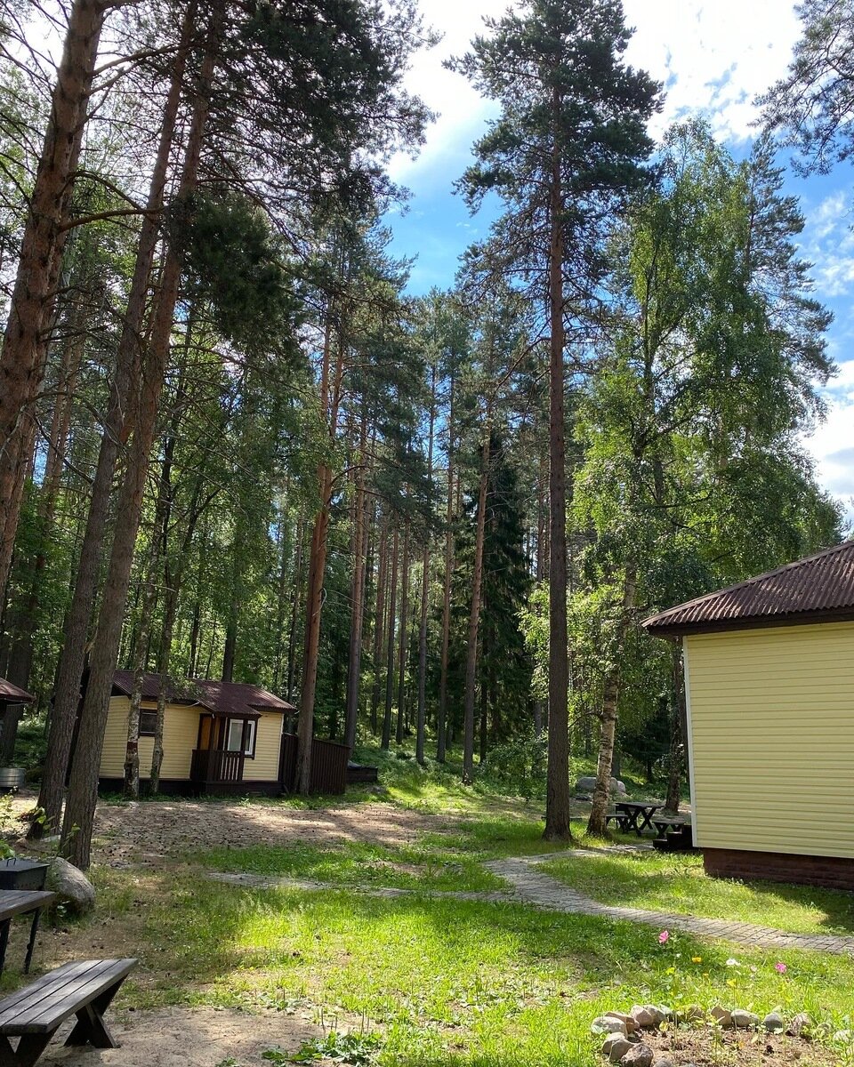 Фото 13 из отзыва о базе отдыха Сямозеро