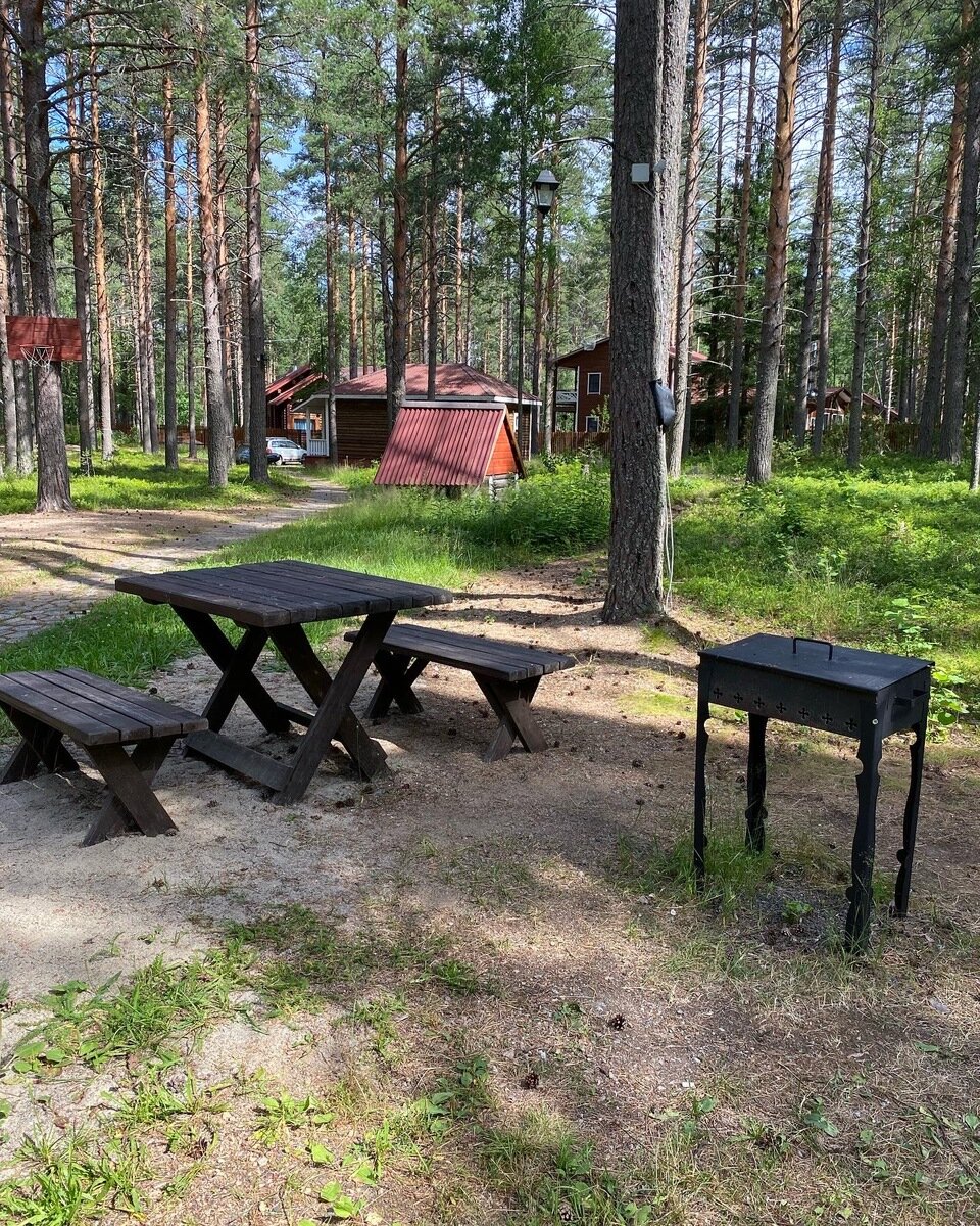 Фото 10 из отзыва о базе отдыха Сямозеро