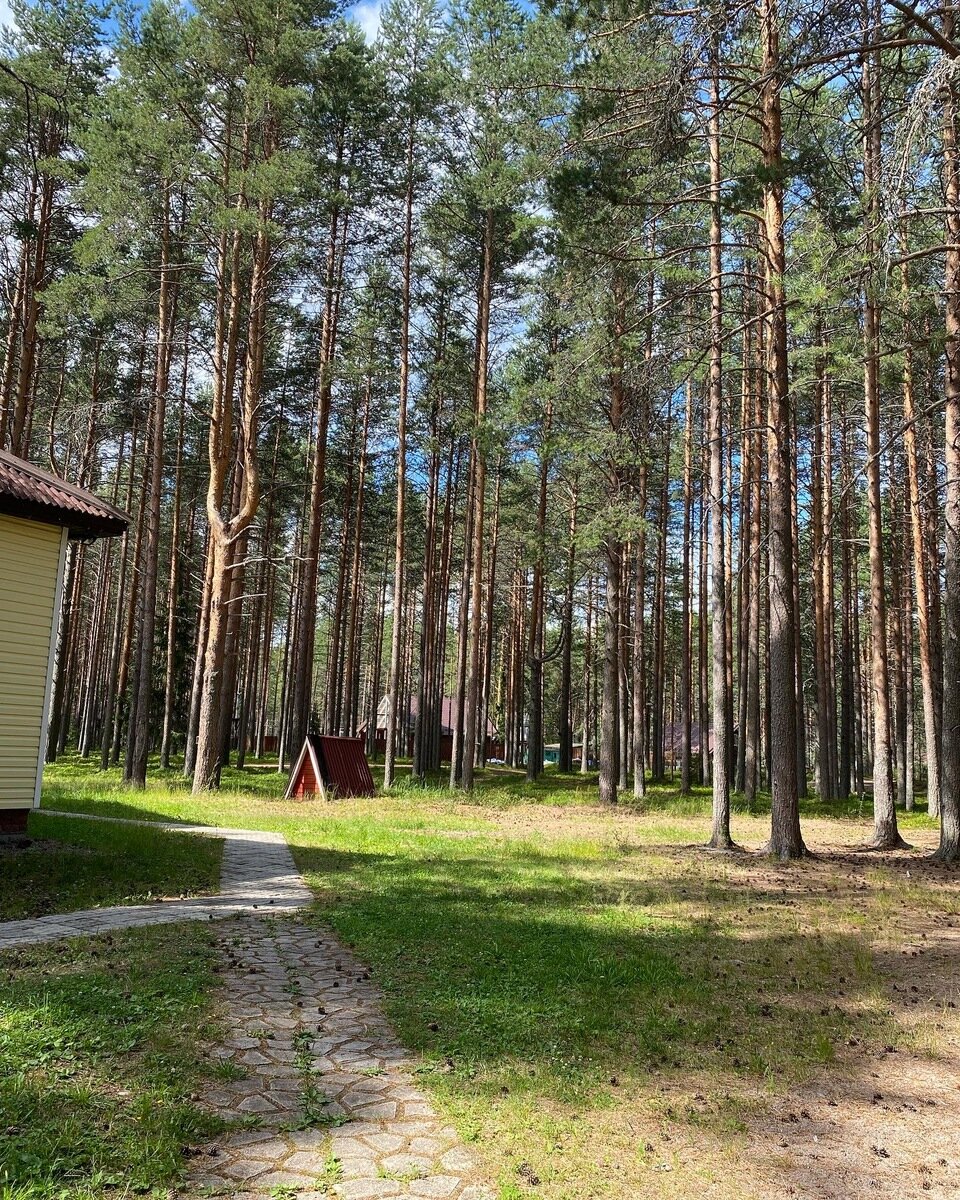 Фото 9 из отзыва о базе отдыха Сямозеро