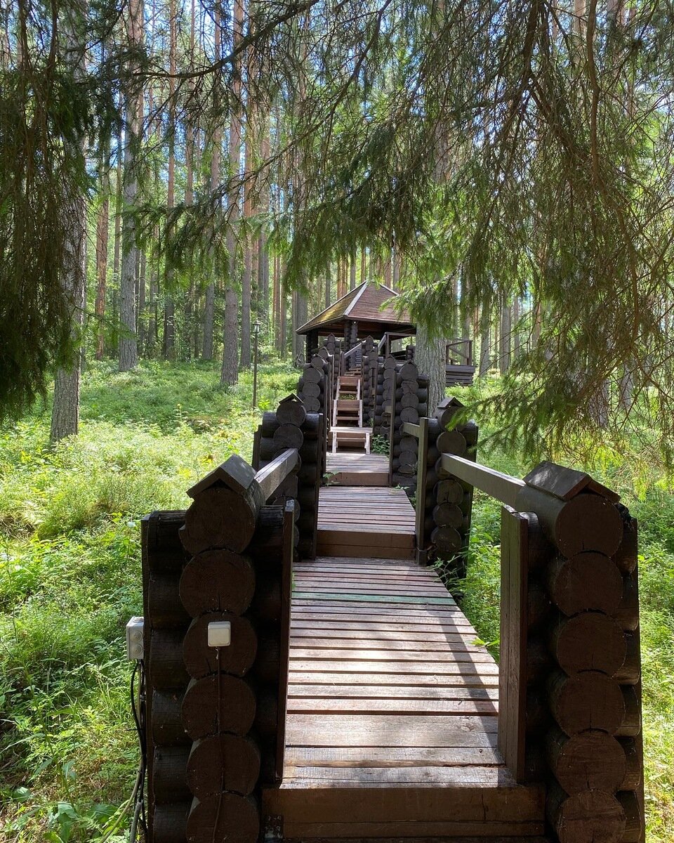 Фото 15 из отзыва о базе отдыха Сямозеро