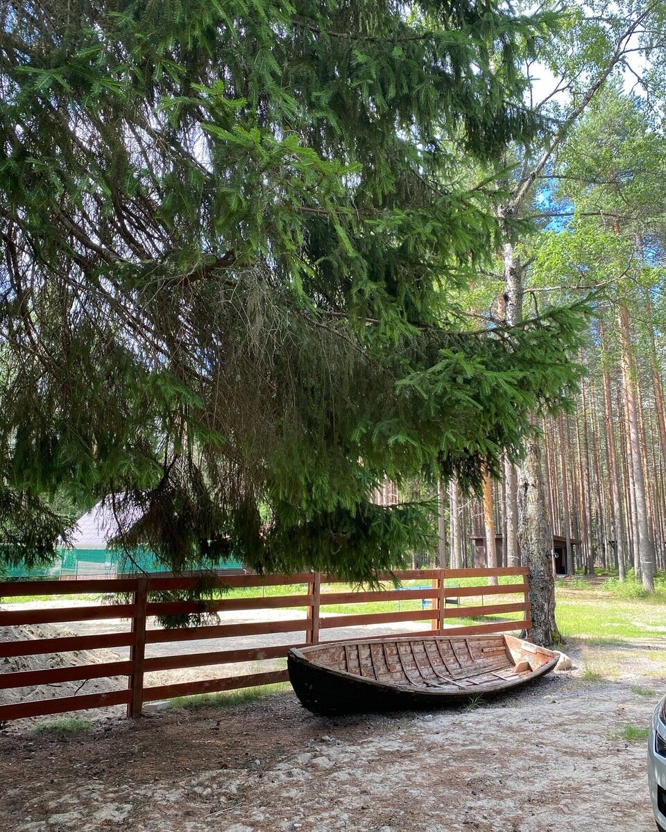 Фото 16 из отзыва о базе отдыха Сямозеро