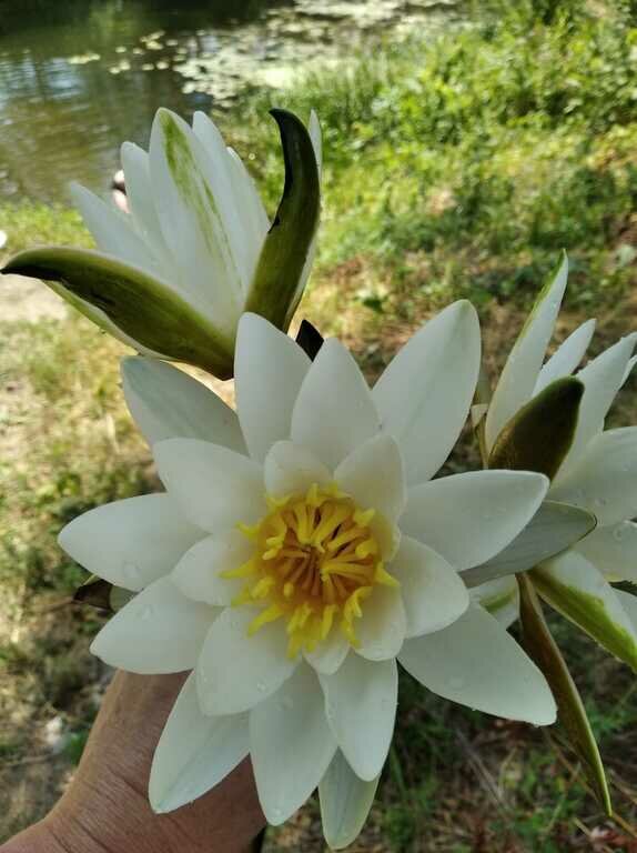 Фото из отзыва от 11.07.2022