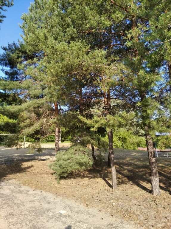 Фото из отзыва от 11.07.2022