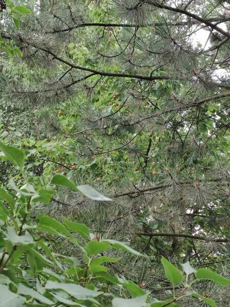 Фото 3 из отзыва о базе отдыха Золотые пески