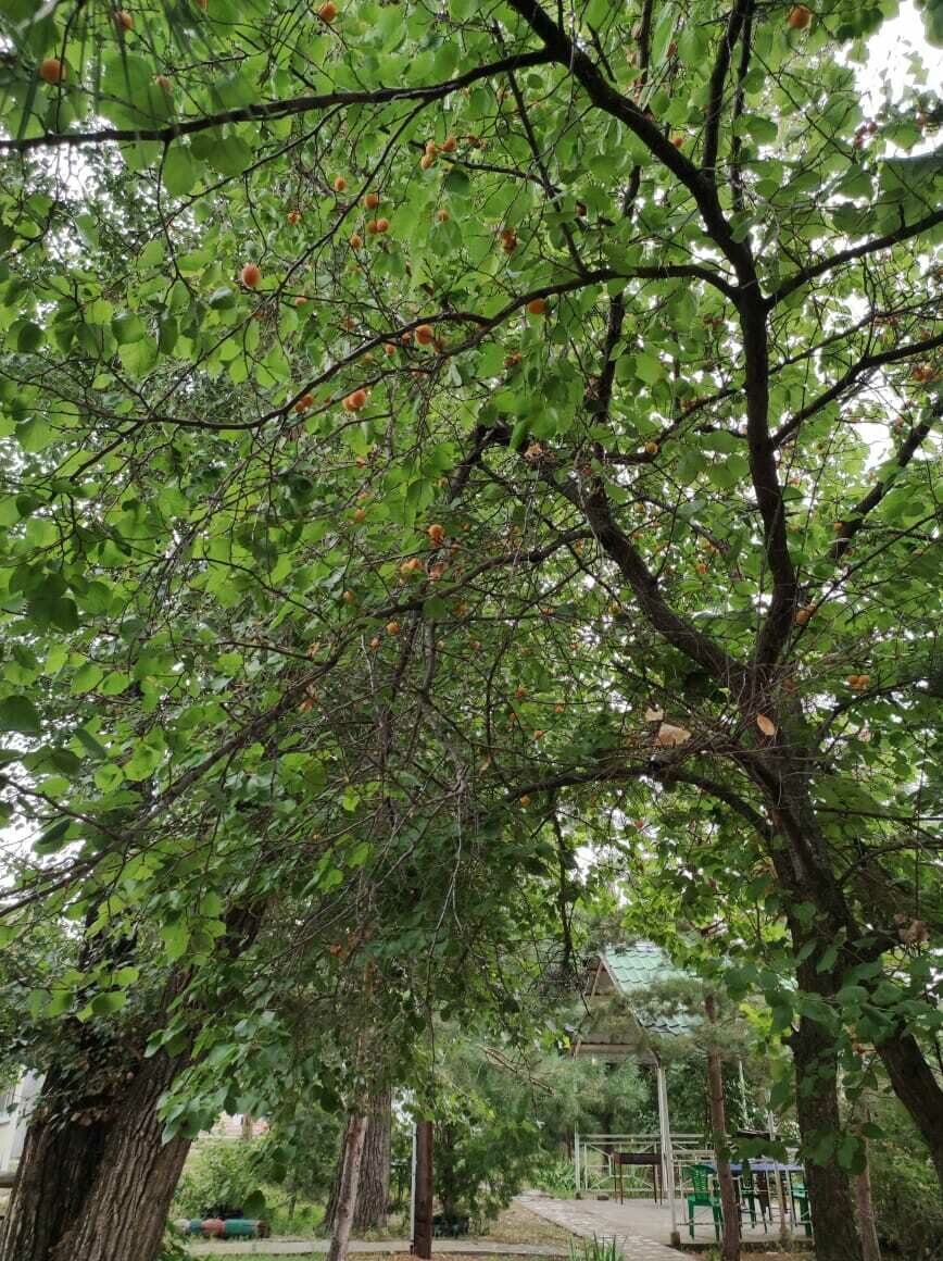 Фото 2 из отзыва о базе отдыха Золотые пески