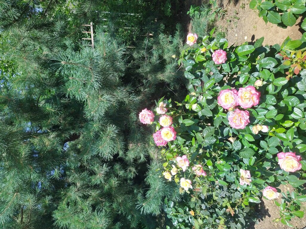 Фото из отзыва от 15.07.2022